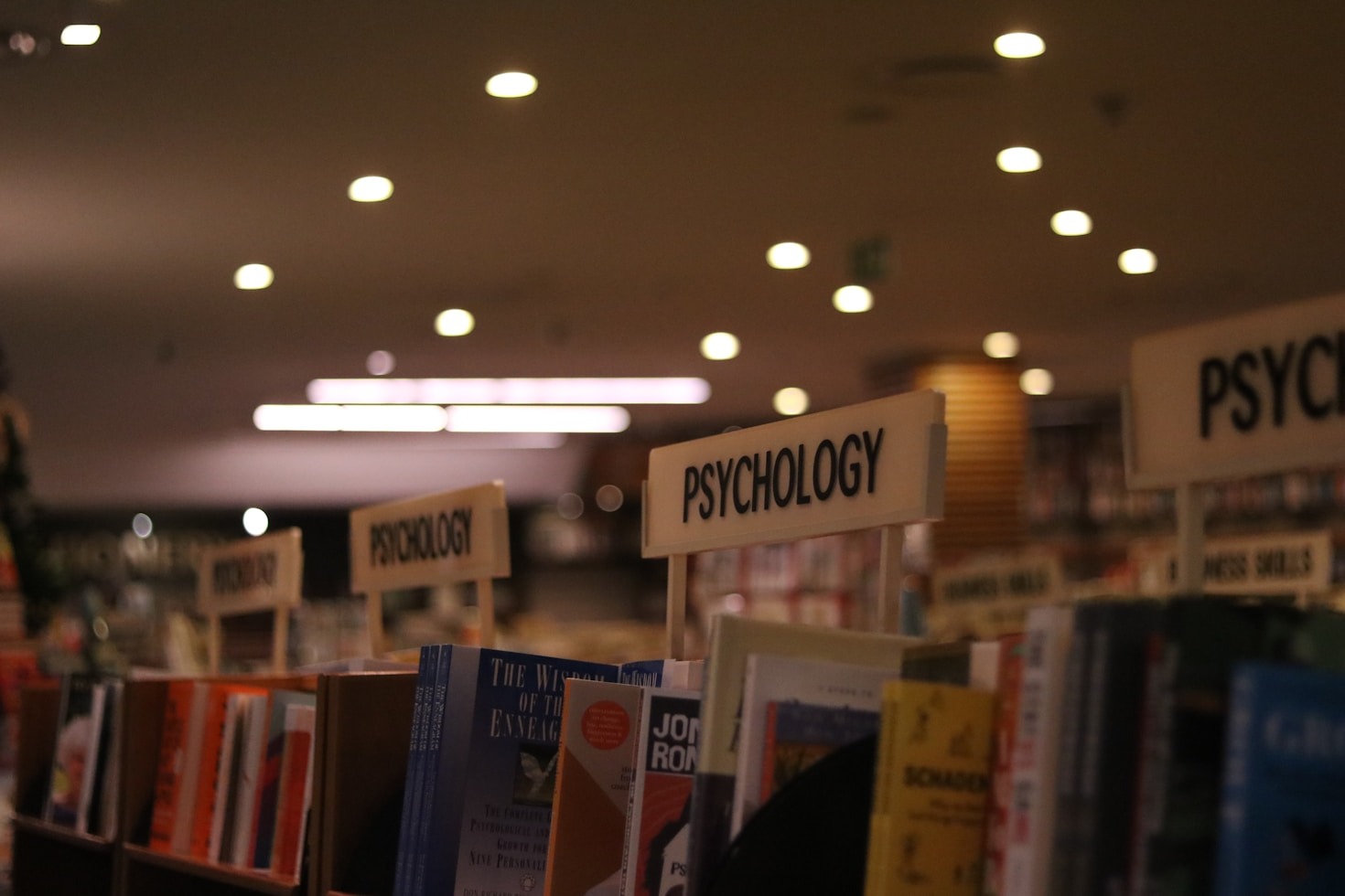 The Power of Behavioral Insights in Business Strategies