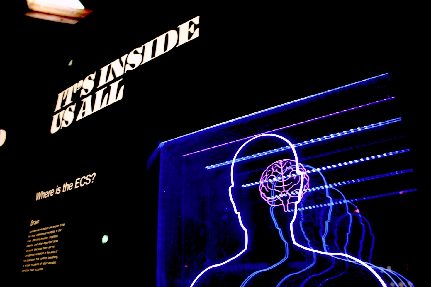 Digital Products That Elevate Business Understanding